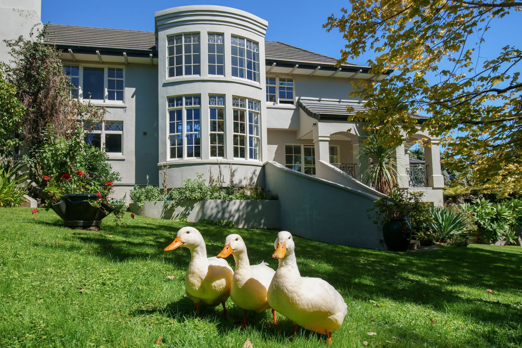 Greenmantle Estate Hotel Paraparaumu Esterno foto